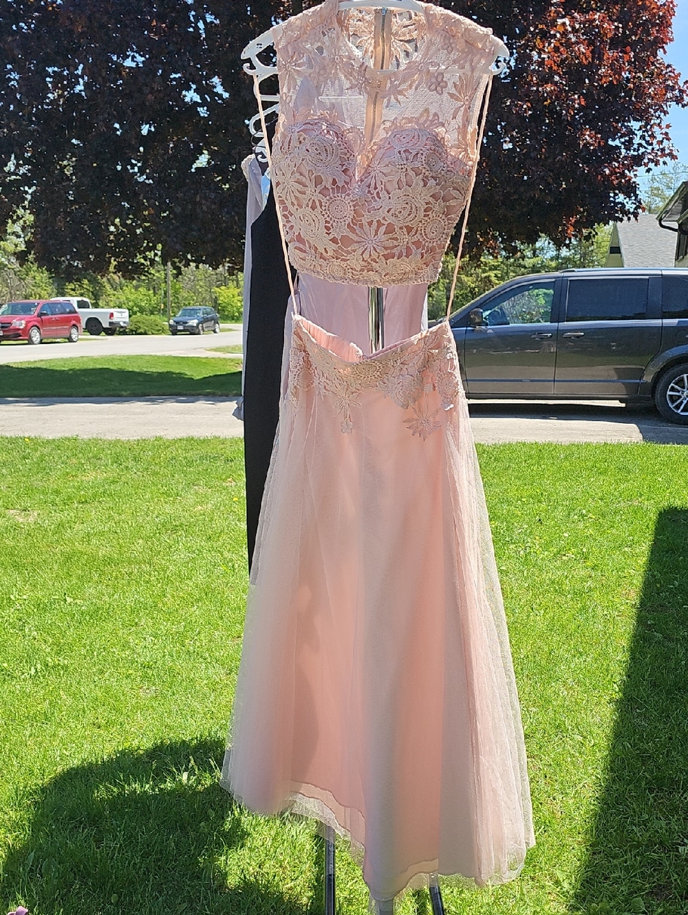 Elegant Pink Lace A-Line Evening Dress